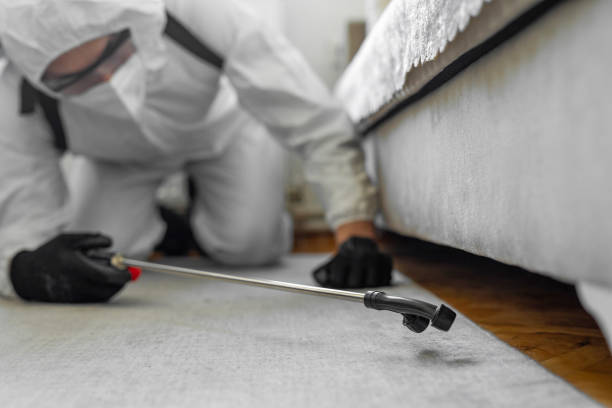 Professional Termite Control technician working in Wynnewood, OK