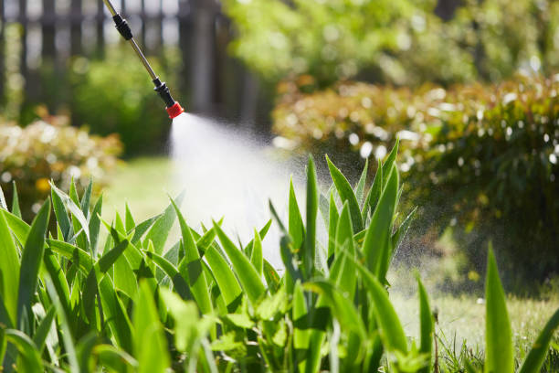 24/7 Emergency Termite Control experts in Wynnewood, OK