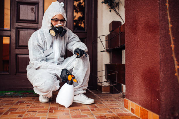 Reliable Termite Control contractor in Wynnewood, OK by Nex Pest Control