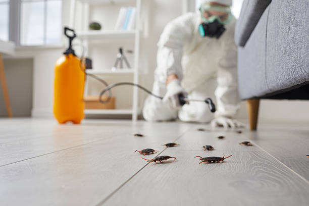 Trusted Fumigation Services service in Wynnewood, OK - Nex Pest Control