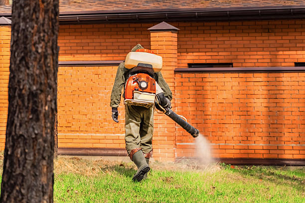Trusted Rodent Control service in Wynnewood, OK - Nex Pest Control